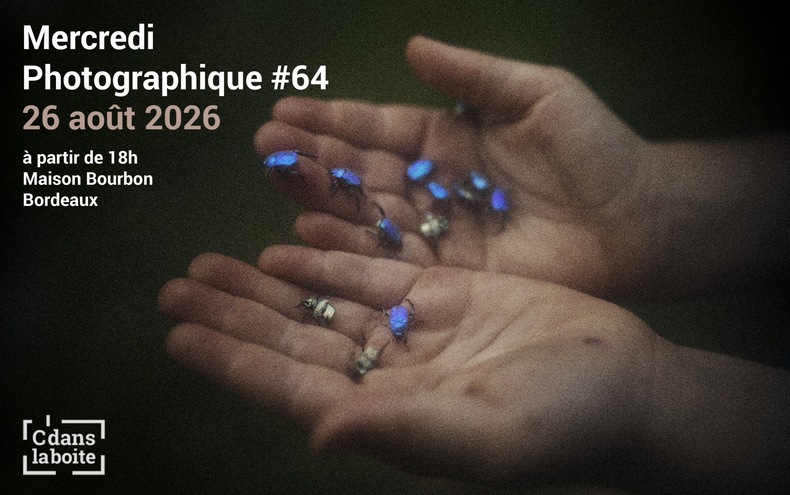 Mercredi Photographique #64⎮26 août 2026