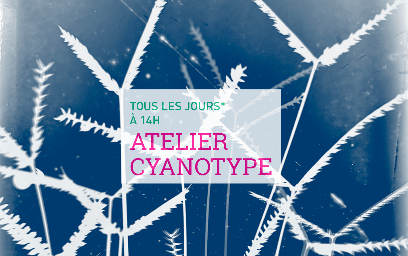 Atelier d&rsquo;Initiation au Cyanotype